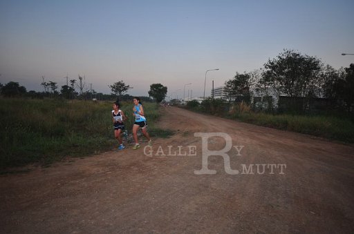 DSC_0178 - Copy (2).JPG